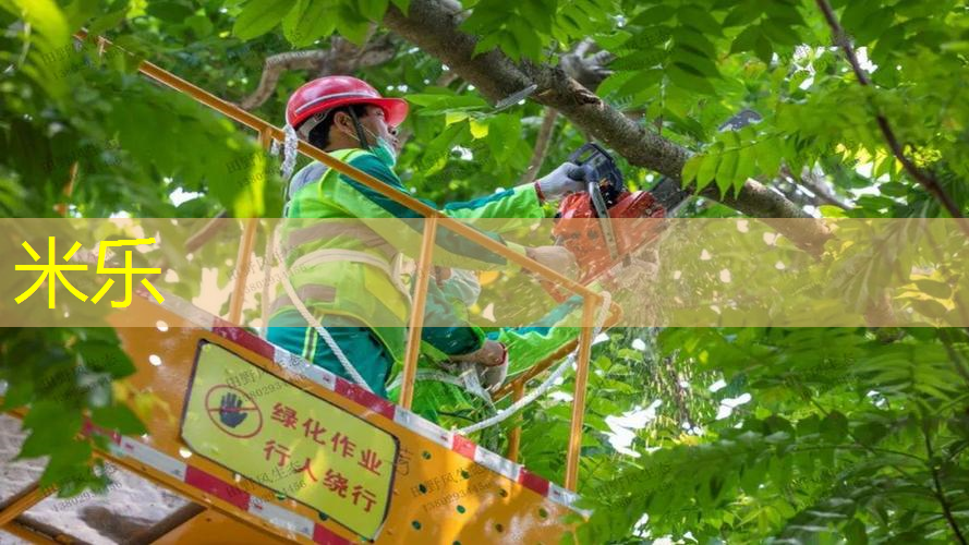 mile米乐m6官网：网球拍是不是很容易线断了