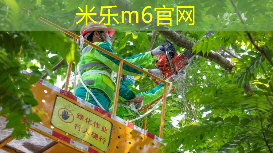 mile米乐m6官网：健康指南：如何根据室外体育健身器材报废年限选择合适时机更换？