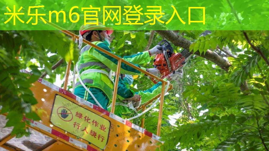 米乐m6官网：让运动成为享受！绿色室外体育健身器材让你爱上锻炼！