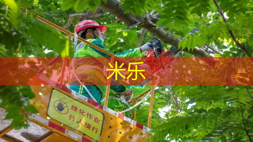 乒乓球台多少厘米长度