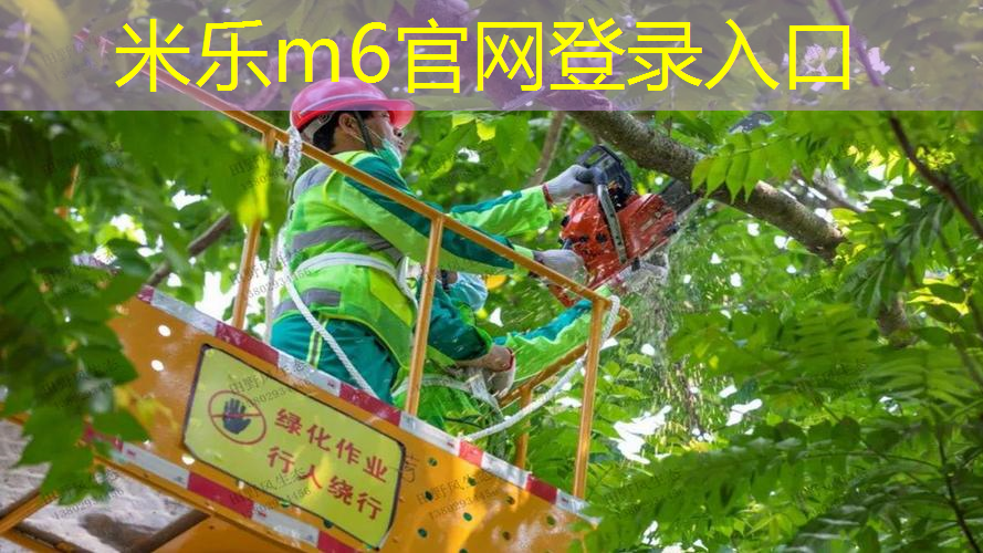 哪里排球训练好用网球拍