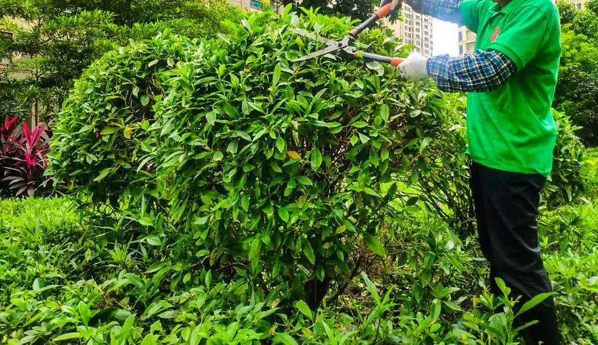 幼儿玩具网球拍子怎么用