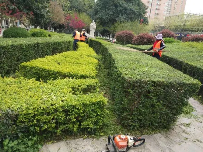 乒乓球台更换的请示