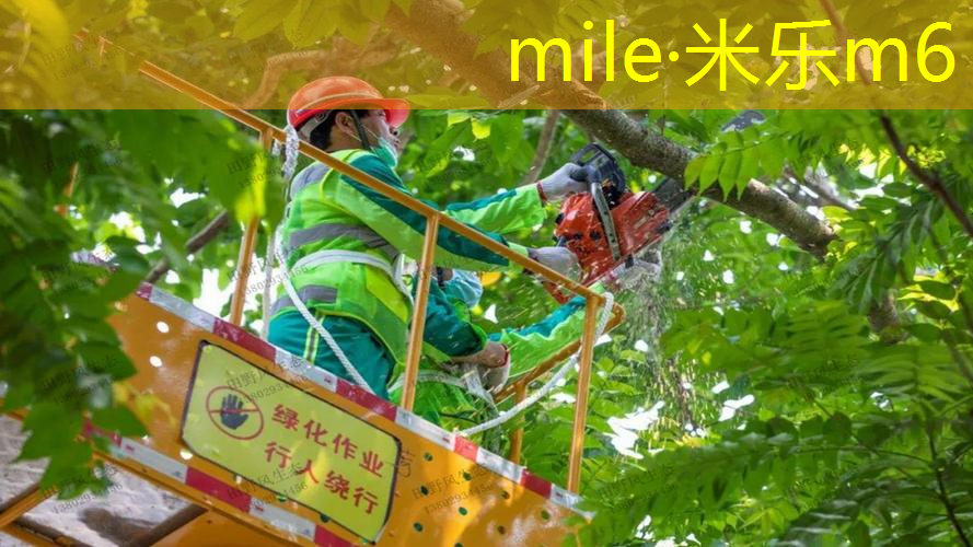 千锤百炼，创造辉煌！塑胶跑道材料系列施工流程齐全妙招！